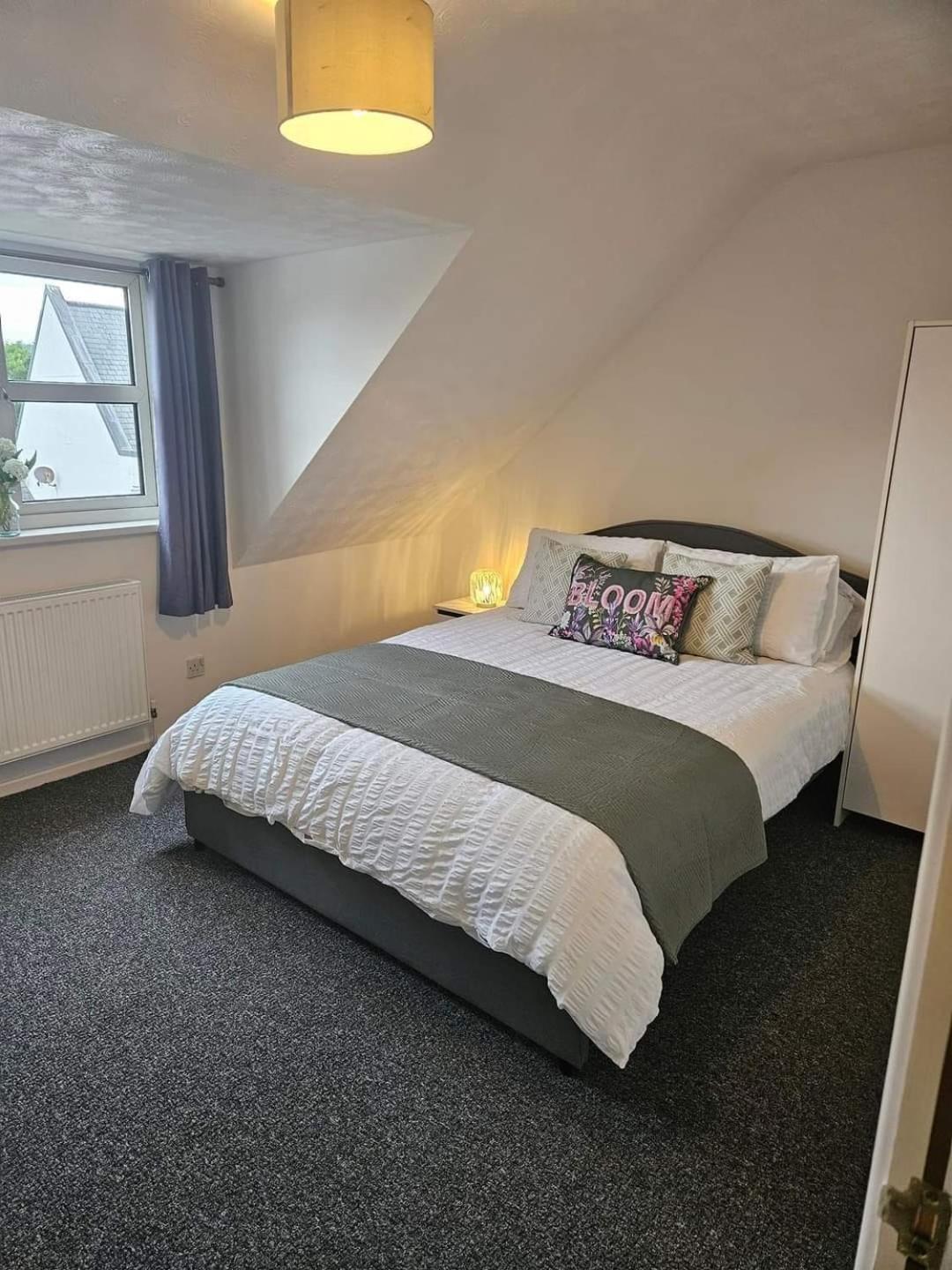 Cosy At The Castle Apartment Carrickfergus Luaran gambar